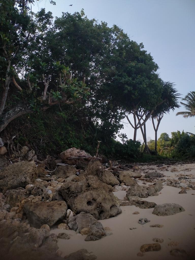 bebiiBoy12's tweet photo. salah satu surga dunia ada di Pantai Malang Selatan https://t.co/FuedzkH9e8