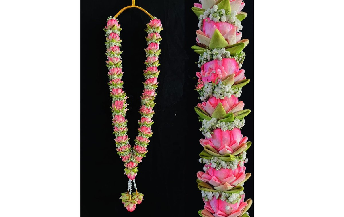 GetFlowersDaily's tweet photo. <!--td {border: 1px solid #cccccc;}br {mso-data-placement:same-cell;}-->🌸✨ Elevate Your Wedding Ceremony with Fresh Lotus Garlands in Bangalore! 🎊
🌐 Visit our website:[https://t.co/EIwtKAa4in]
#FreshLotusGarland #BangaloreWeddings #ElegantDecor #DivineBlessings #WeddingFloral https://t.co/QHVhXI3PoU