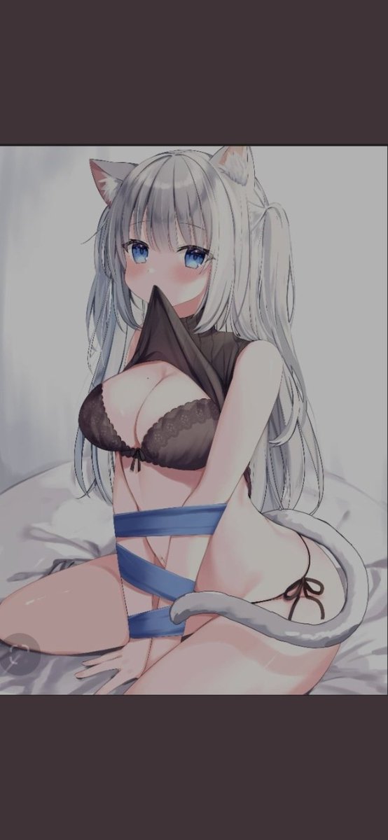 KittygalCallie's tweet photo. @WolfMa55age https://t.co/tHWcnLRboi