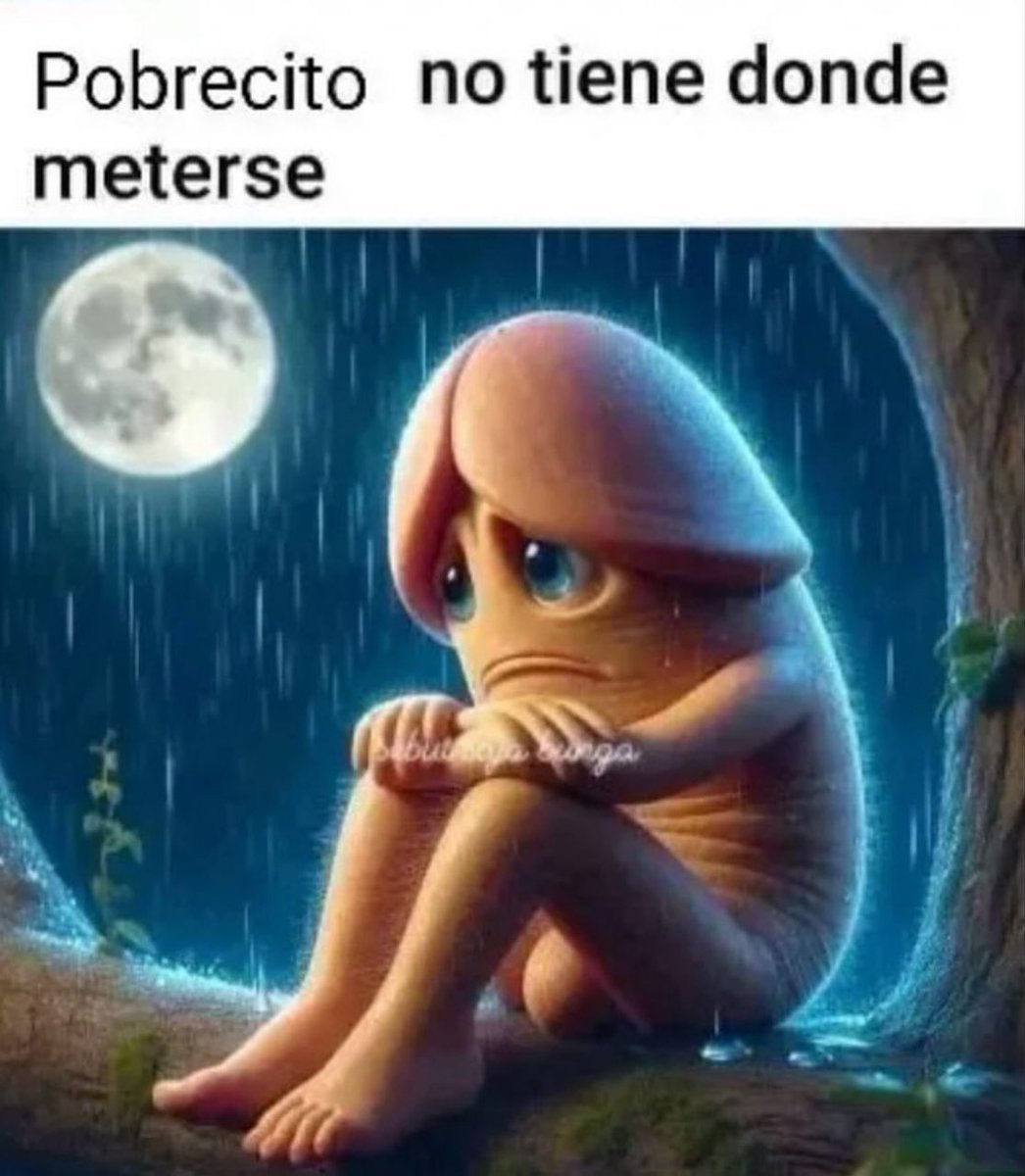 Today my... child is sad 🌚