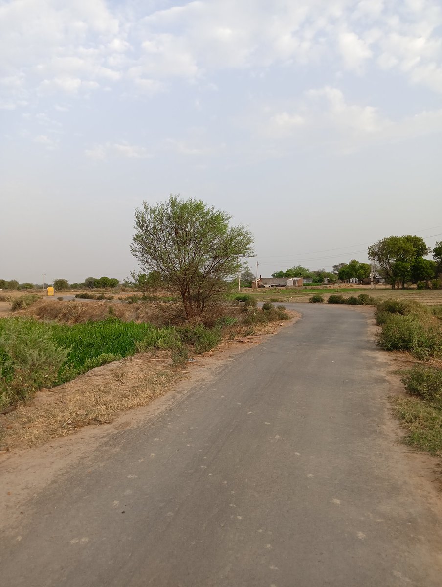 Dayalveersingh6's tweet photo. Rajasthan #village #janambhumi #leavetime #beautifulday https://t.co/24hrrg66Po