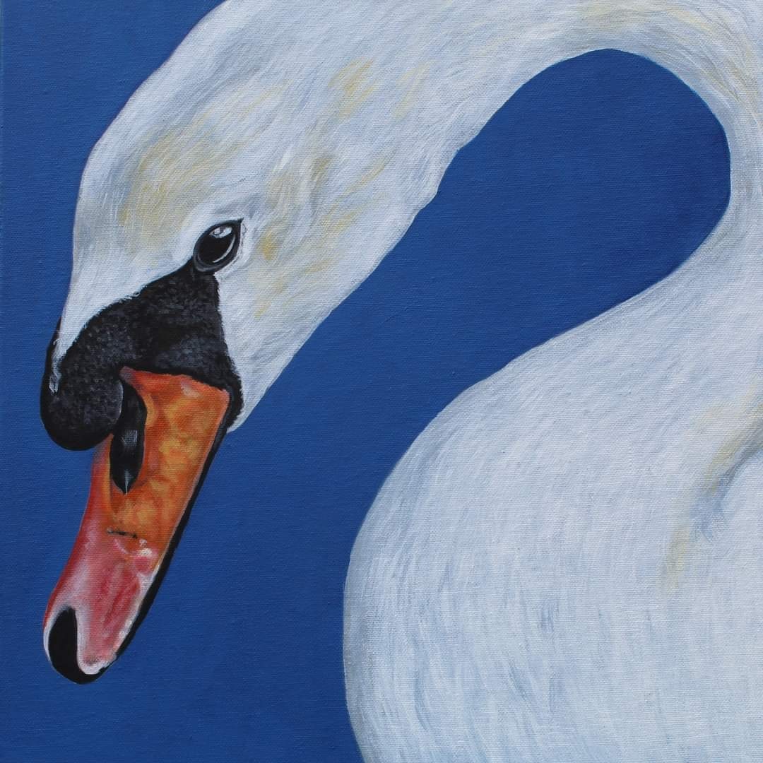 Totnesbabe's tweet photo. Two recent bird paintings and a reference photo for my next https://t.co/Y5eXj65uSb