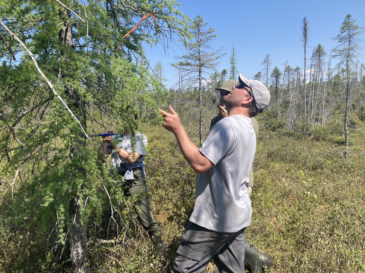 Garneau Michelle tweet media