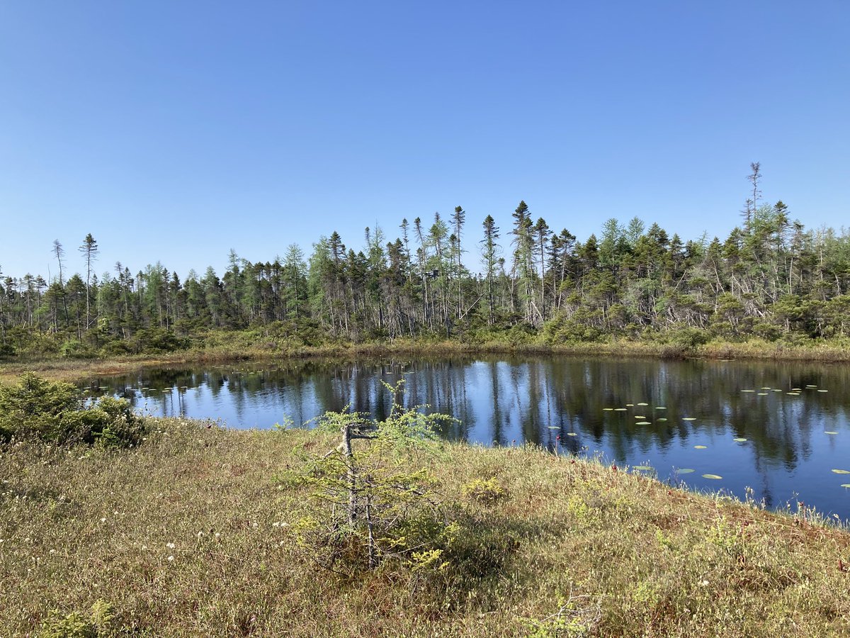 Garneau Michelle tweet media