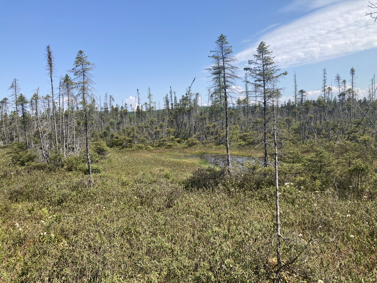 Garneau Michelle tweet media