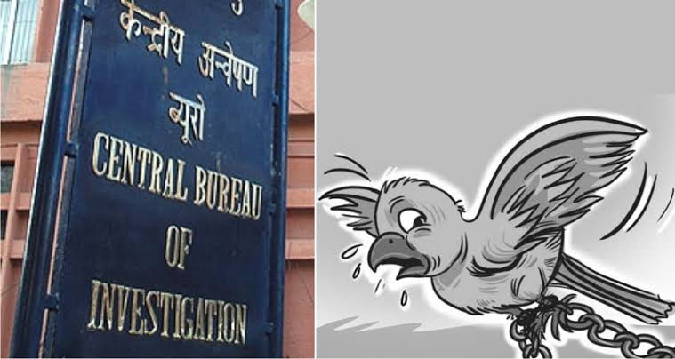 Ajey Rai (@ajey_rai) on Twitter photo 1394 days of <a href="/CBIHeadquarters/">Central Bureau of Investigation (India)</a> investigation, still no progress in the Sushant Singh Rajput's case. 
Itne din kya kiya ❓ <a href="/Copsview/">Praveen Sood</a>
When will CBI file chargesheet in SSR's case❓ 
Who is blocking Justice 4 Sushant Singh Rajput❓ <a href="/PMOIndia/">PMO India</a>
CBI Fast Track SSRCase 1394 days of <a href="/CBIHeadquarters/">Central Bureau of Investigation (India)</a> investigation, still no progress in the Sushant Singh Rajput's case. 
Itne din kya kiya ❓ <a href="/Copsview/">Praveen Sood</a>
When will CBI file chargesheet in SSR's case❓ 
Who is blocking Justice 4 Sushant Singh Rajput❓ <a href="/PMOIndia/">PMO India</a>
CBI Fast Track SSRCase