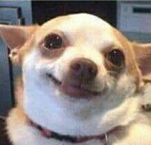 Lomitho's tweet photo. Manu es muy tierno con Dani ๐ญ ojalรก se casen pronto ๐จ๐ฑ๐ต๐พ๐#parachi #chipara
Sinceramente la ship deberia llamarse Chipa porque la ship es un manjar como la chipa๐
Te quiero mucho chilenito lindo precioso hermoso๐ https://t.co/6VoCUhYUmG