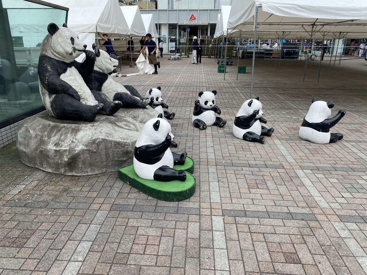 agentfutoshi's tweet photo. しろくま🐻‍❄️ https://t.co/C2m0Rlpi6i