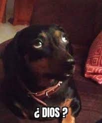 Watch 𝕄𝕚𝕣𝕏✨'s leaked NSFW photo on TwXstars