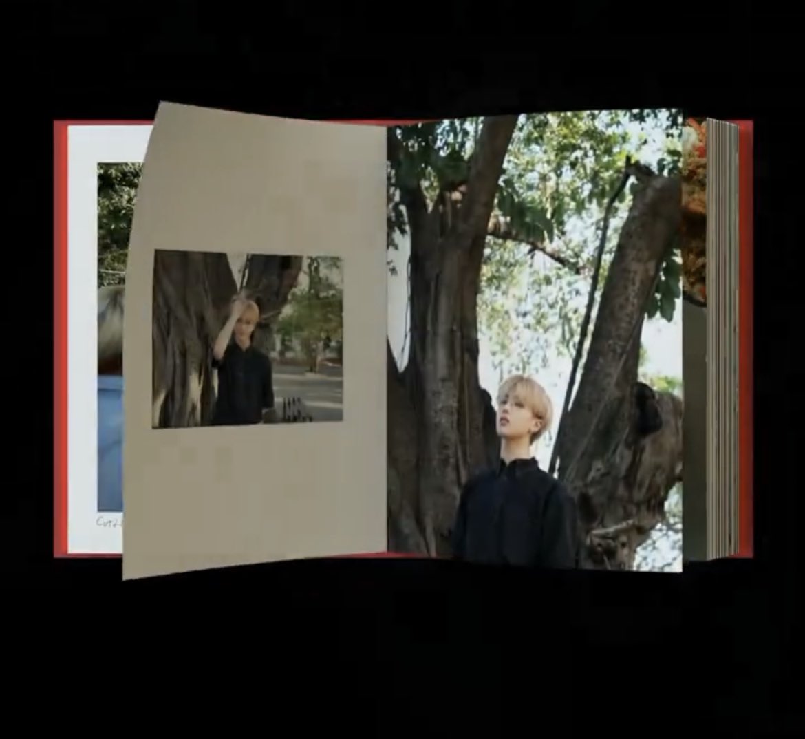 elle tweet media