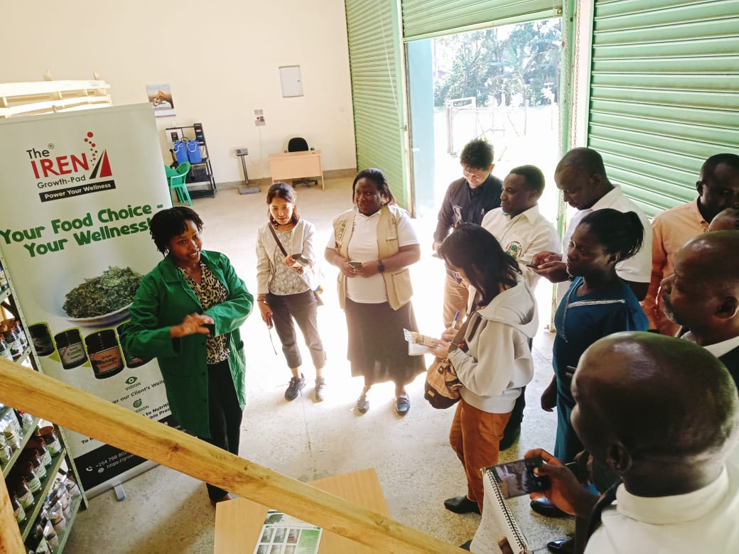 IRENGrowthpad's tweet image. It was great to host Kakamega County Investment &amp;amp; Development Agency and a team from JICA Kenya at our site on matters processing African Indigenous veggies as a key agricultural value chain to enhance food security, nutrition &amp;amp; job creation #Valuechaindevelopment #chakulachetu