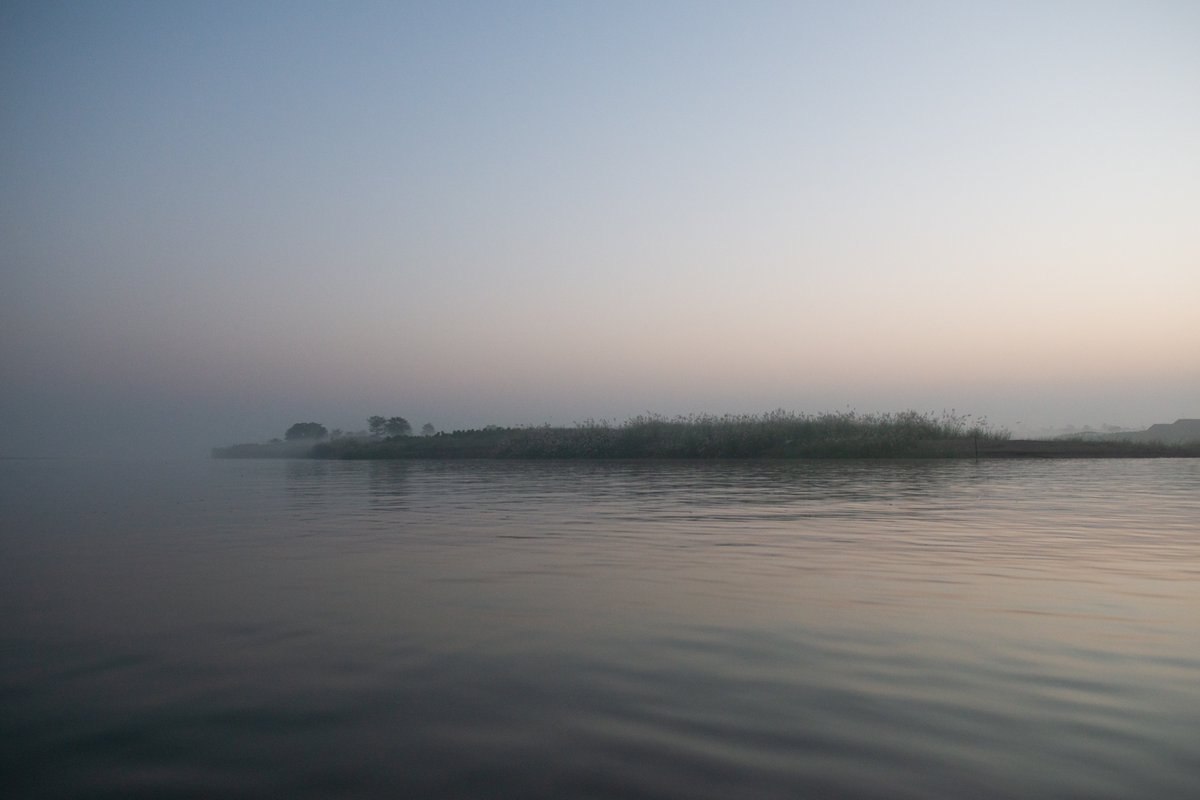 D A R K L E tweet media