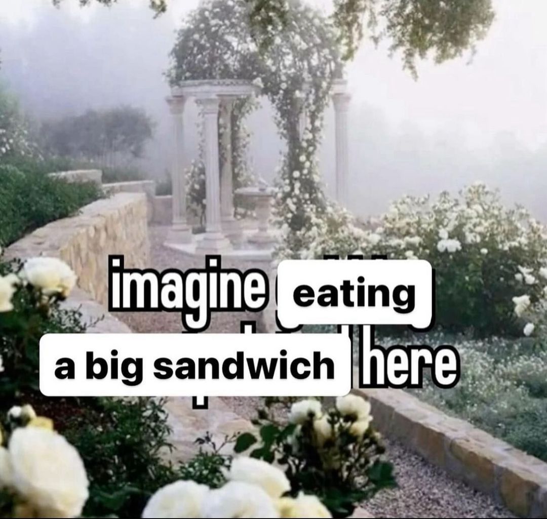 hourly_shitpost's tweet image. 