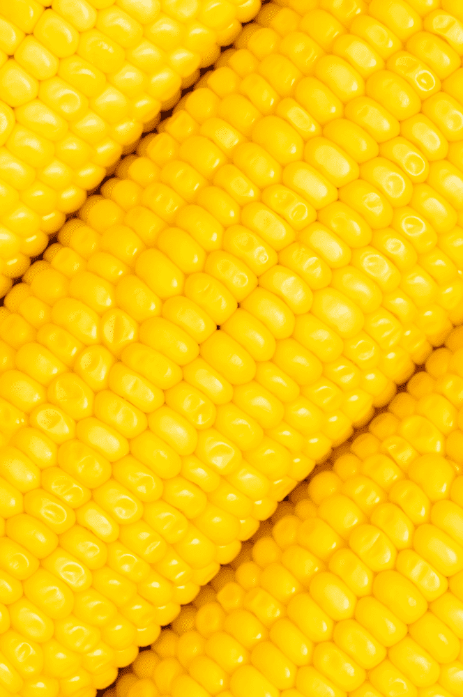 SPGEnergyAg's tweet photo. INTERVIEW: Alphamar director sees 17 million mt of Brazilian #corn going for ethanol

▪️ Increased use of #ethanol to boost #Brazilian corn prices
▪️ #China's bridging of supply-demand gap will take time: Neto

Read more 📰
https://t.co/I86aMB921n

#IGCConf #LondonGrainsWeek24 https://t.co/o3ANucqRFz