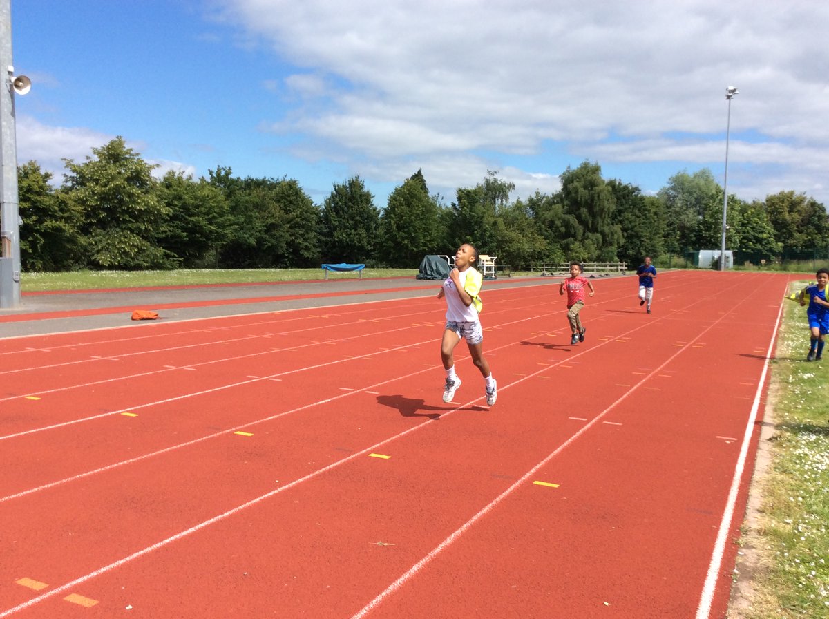 Hannah More Primary tweet media