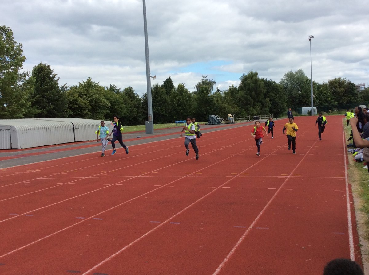 Hannah More Primary tweet media