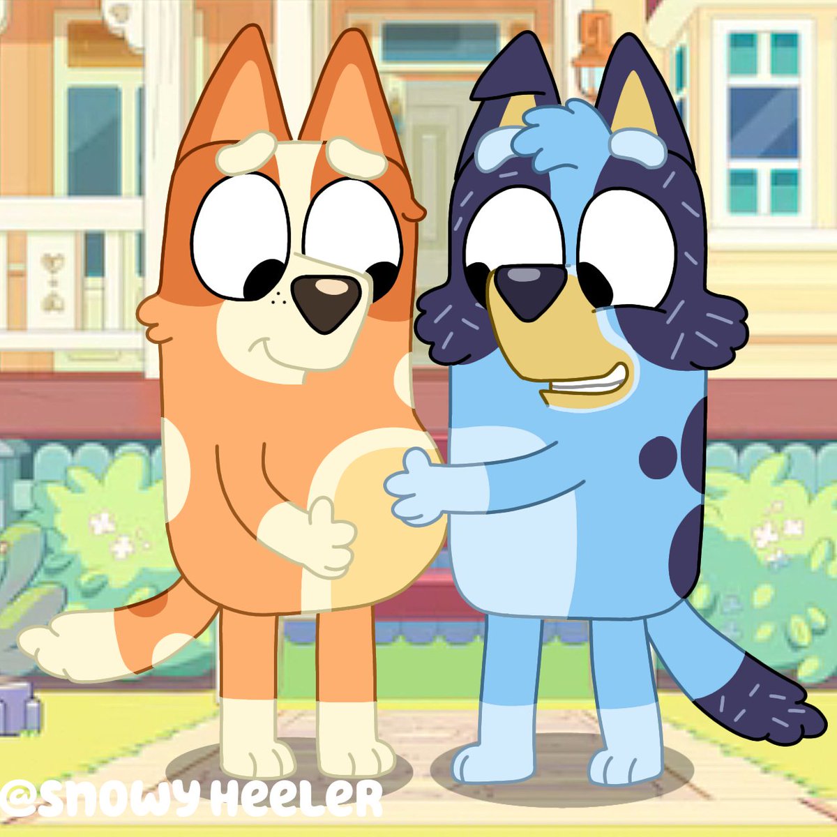 Snowy heeler tweet media