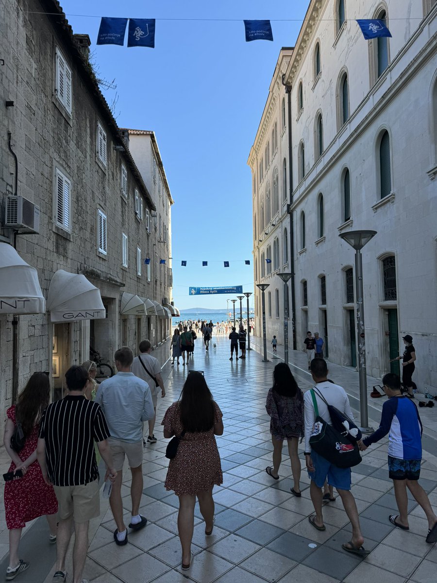 Sangue Blu 💙➕ tweet media