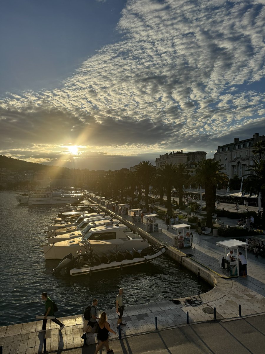 Sangue Blu 💙➕ tweet media