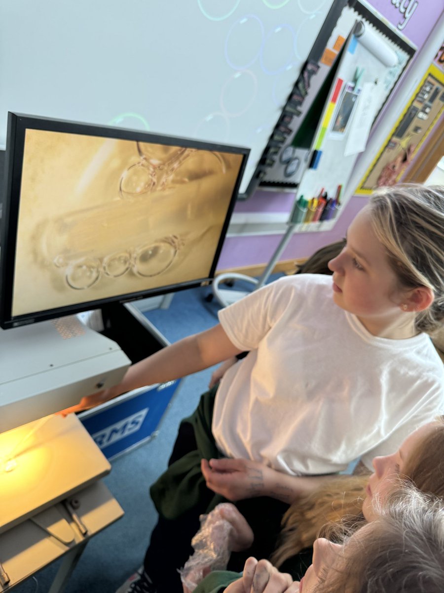 Year 6 were busy being scientists yesterday, using microscopes to explore the structure of objects they found on the playground as well as identifying some mystery substances 🔬🧑🏾‍🔬🥼