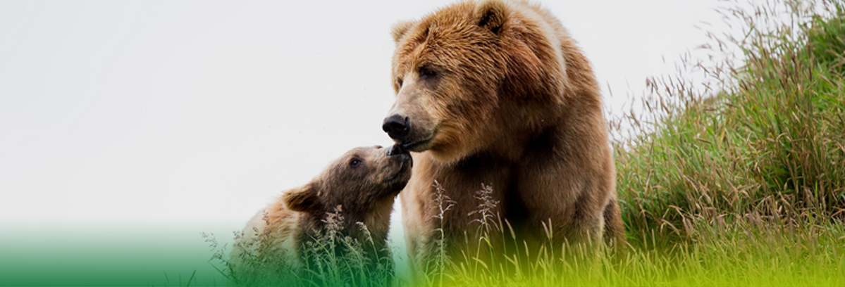 Ecognitio tweet media