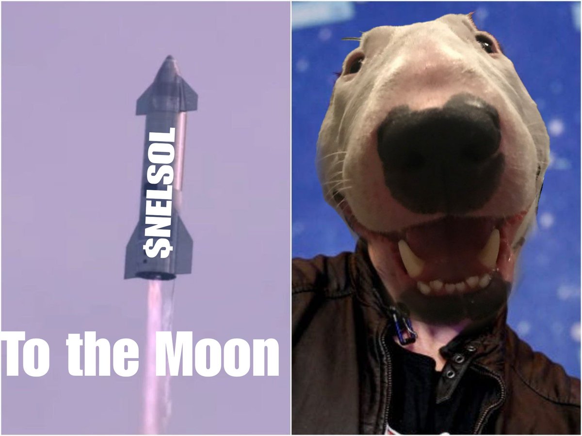 <a href="/JakeGagain/">JAKE</a> $NELSOL is about to Giga Send too ! Some big announcements expected soon 🚀🚀

wOOF wOOF 🐶🐶

<a href="/WalterOnSol/">Walter</a> #MEMECOİNS