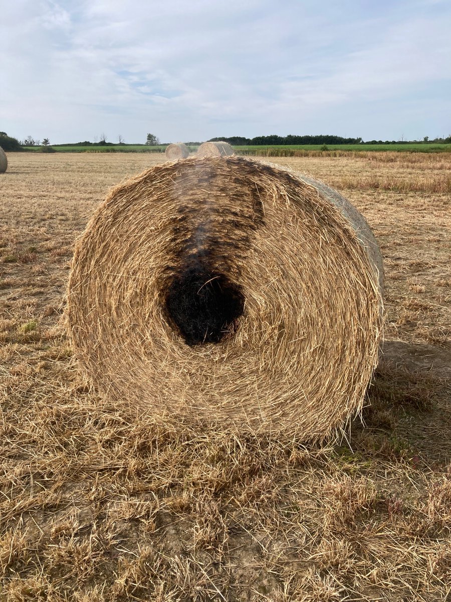 Guy Smith tweet media