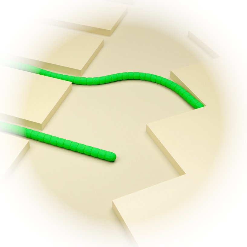Maximilian Kurjahn (@mkurjahn) on Twitter photo Now online: We quantified the gliding forces of filamentous cyanobacteria by self-buckling experiments in microfluidic devices, which led to valuable insight into the still unsolved gliding mechanism.
doi.org/10.7554/eLife.…
<a href="/eLife/">eLife - the journal</a> <a href="/mpids/">MPI-DS Göttingen</a> Now online: We quantified the gliding forces of filamentous cyanobacteria by self-buckling experiments in microfluidic devices, which led to valuable insight into the still unsolved gliding mechanism.
doi.org/10.7554/eLife.…
<a href="/eLife/">eLife - the journal</a> <a href="/mpids/">MPI-DS Göttingen</a>