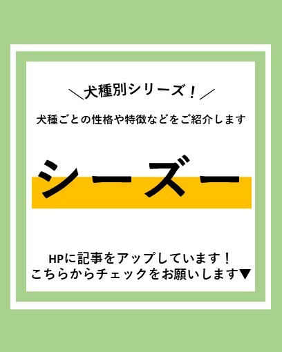 ALL_AH_group's tweet photo. 犬種別シリーズ！犬種ごとの性格や特徴などをご紹介します～シ ーズー編～
https://t.co/HeUzhL03N7
#犬好きな人と繋がりたい　#シーズー https://t.co/CbyqOF6cad