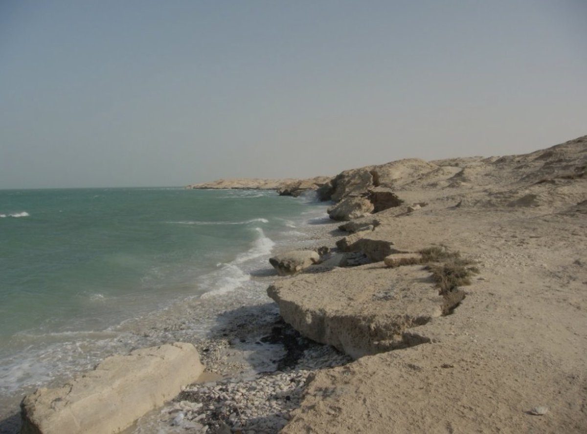 عبدالرحمن/بويوسف tweet media