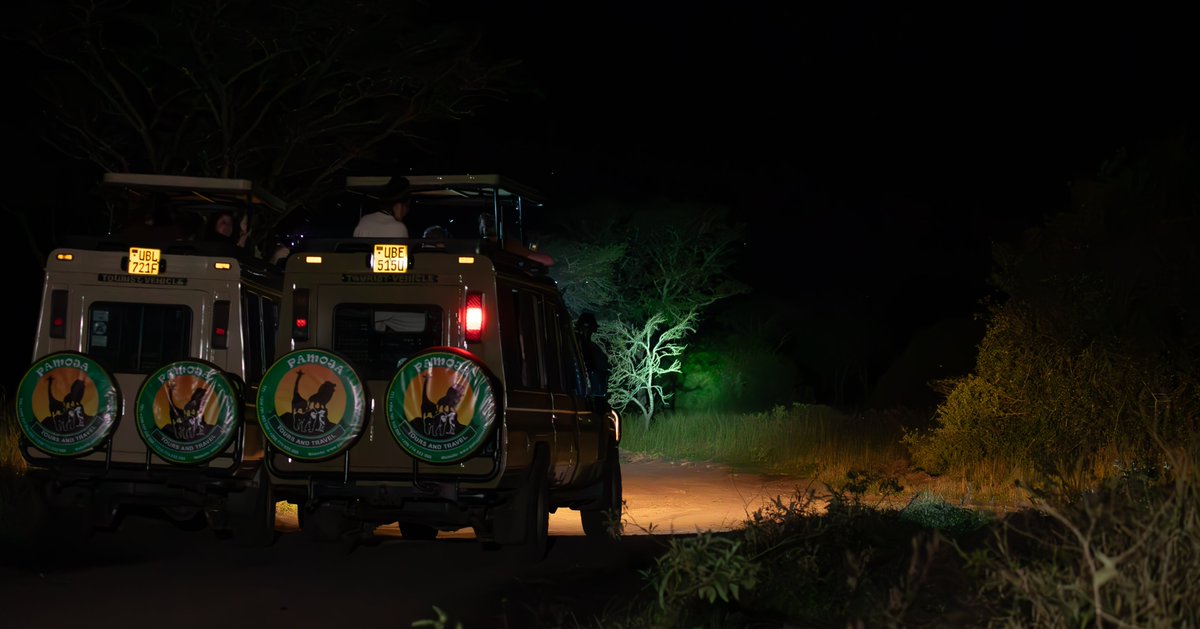 With expert guides and specialized equipment, night game drives offer an unforgettable adventure. 📷📷📷
#NightGameDrive #SafariAdventure #NocturnalWildlife #WildlifeSafari #Stargazing #NatureLovers #WildernessExperience #AdventureTravel