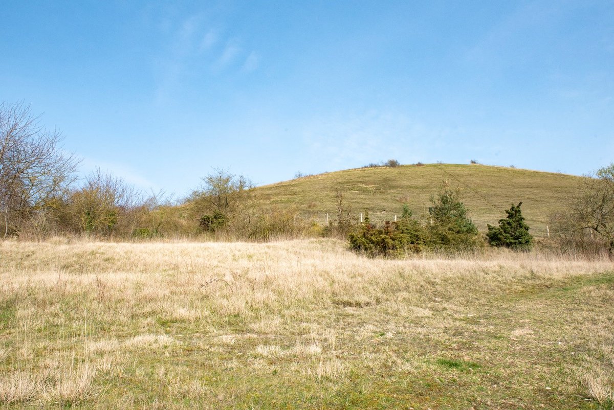 𝗡𝗼𝘂𝘀 𝗮𝘃𝗼𝗻𝘀 𝗯𝗲𝘀𝗼𝗶𝗻 𝗱𝗲 𝘃𝗼𝘂𝘀 !
Réserves Naturelles de France, en lien avec <a href="/ObsBienEtre/">Observatoire du Bien-être</a> travaille sur la contribution des réserves naturelles au bien-être et à la santé de la société.

🌿Contribuez en répondant à ce questionnaire : url-r.fr/dUHkd