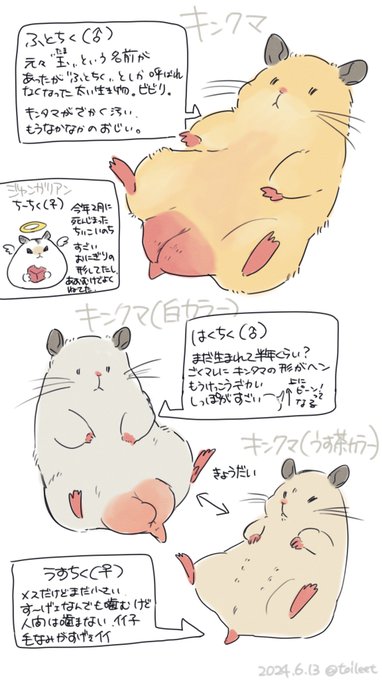 我が家のいのちたち描いた
ちなみにふとちくは動物園のふれあい広場のにおい
はくちくとうすちくは針葉樹トイレ砂の森のにおいがする 