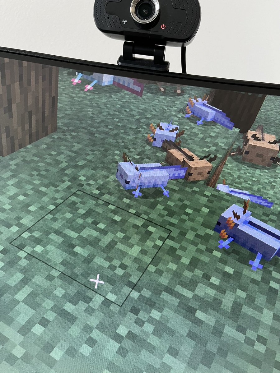 BaruthIdo66191's tweet photo. @Minecraft I got also the blue axelotel and a screaming goat https://t.co/ovfJ2T7YaU