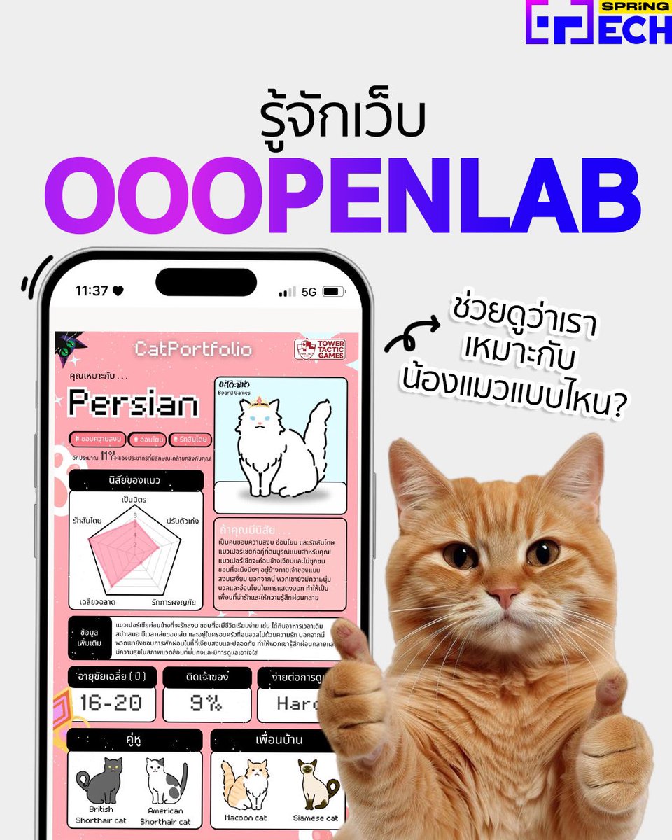 SPRiNGNEWS_TH's tweet photo. ชวนเล่นเว็บ ooopenlab เว็บเอาใจทาสแมว! ช่วยหาว่าเราเหมาะกับน้องแมวแบบไหน?
.
https://t.co/y7oeGbj8jL
.
#SPRiNG #SPRiNGnews #SPRiNGTech #ooopenlab #เว็บเอาใจทาสแมว #ทาสแมว #น้องแมว https://t.co/hTqcvROTfM
