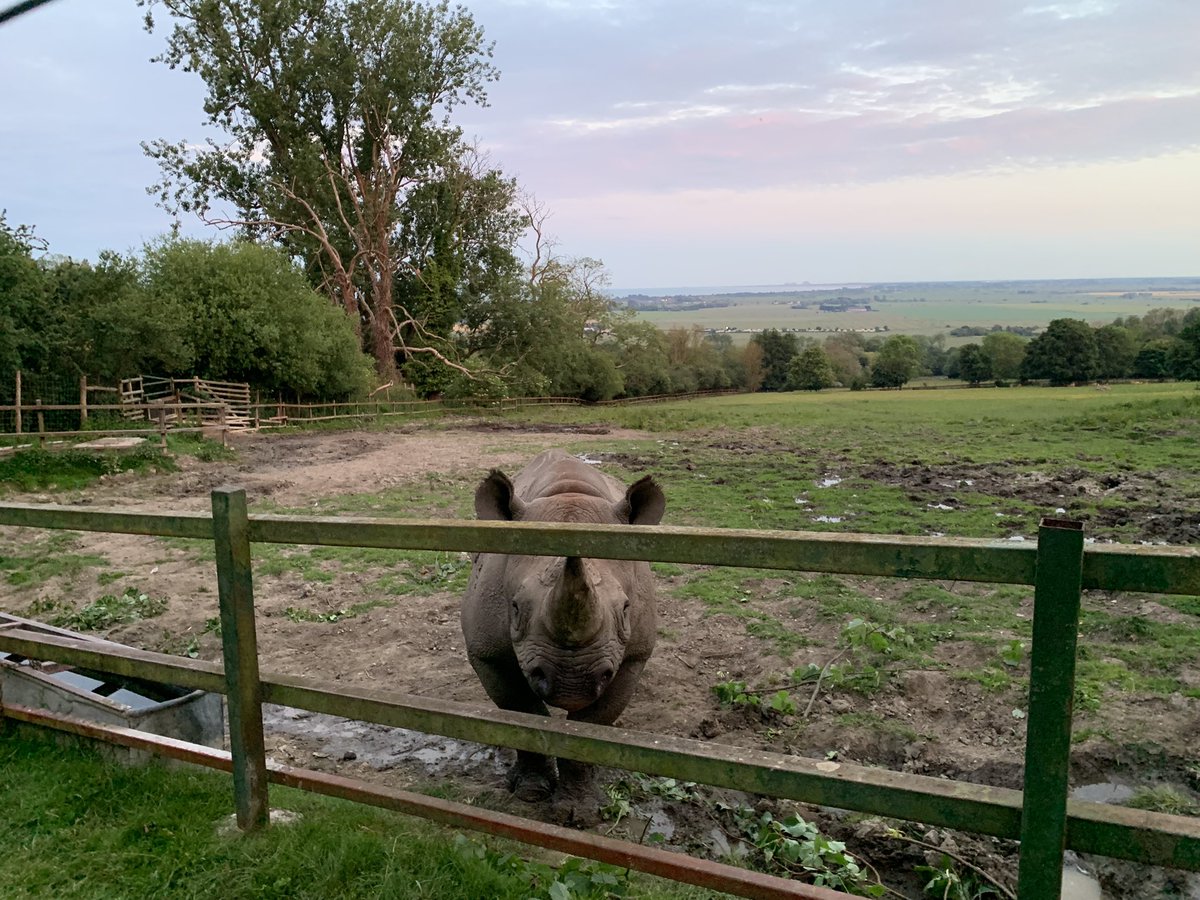 mark perkins tweet media