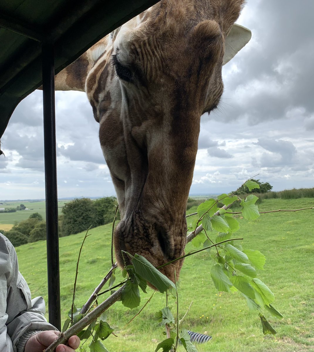 mark perkins tweet media