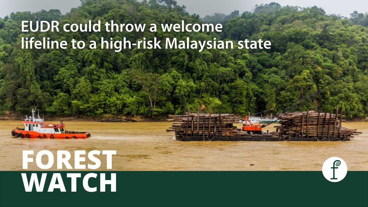 Fern (@fern_ngo) on Twitter photo The #EUDR represents a promising & enforceable opportunity to defend local and Indigenous communities' rights in #Malaysia.
NGOs hope the Regulation can help communities in #Sarawak protect themselves from #deforestation.
Read the latest #ForestWatch 👇
fern.org/publications-i… The #EUDR represents a promising & enforceable opportunity to defend local and Indigenous communities' rights in #Malaysia.
NGOs hope the Regulation can help communities in #Sarawak protect themselves from #deforestation.
Read the latest #ForestWatch 👇
fern.org/publications-i…