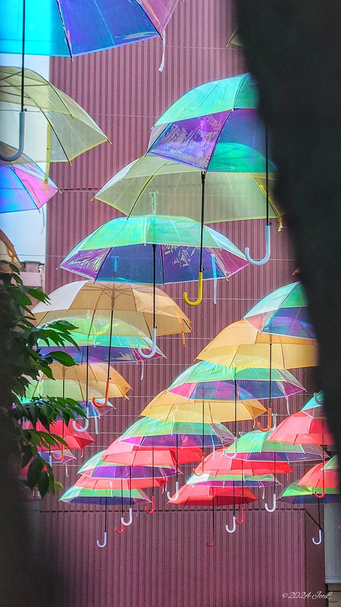jrsjkai's tweet photo. 隙間からみえる素敵な景色☂️
2024.05.26撮影
#滋賀県 #草津市 #エイスクエア #ASQUARE #アンブレラパティオ2024 #傘 https://t.co/hKF2SQObS9