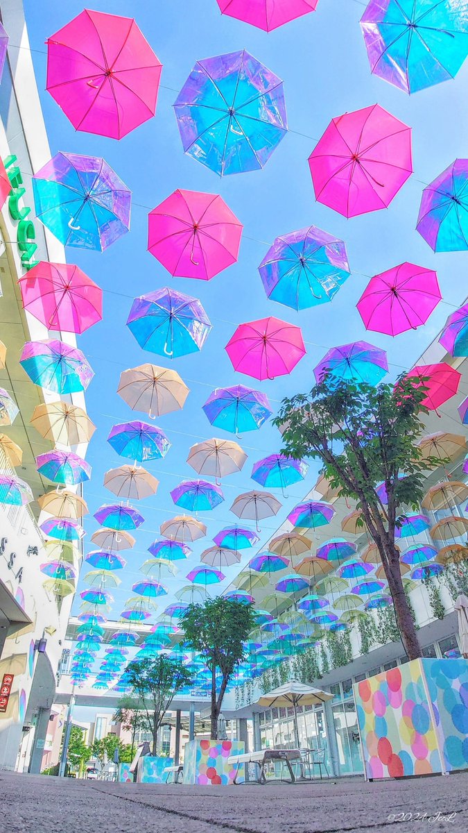 jrsjkai's tweet photo. 晴れの日も☂️
2024.05.26撮影
#滋賀県 #草津市 #エイスクエア #ASQUARE #アンブレラパティオ2024 #傘 https://t.co/54Xau8W0dA