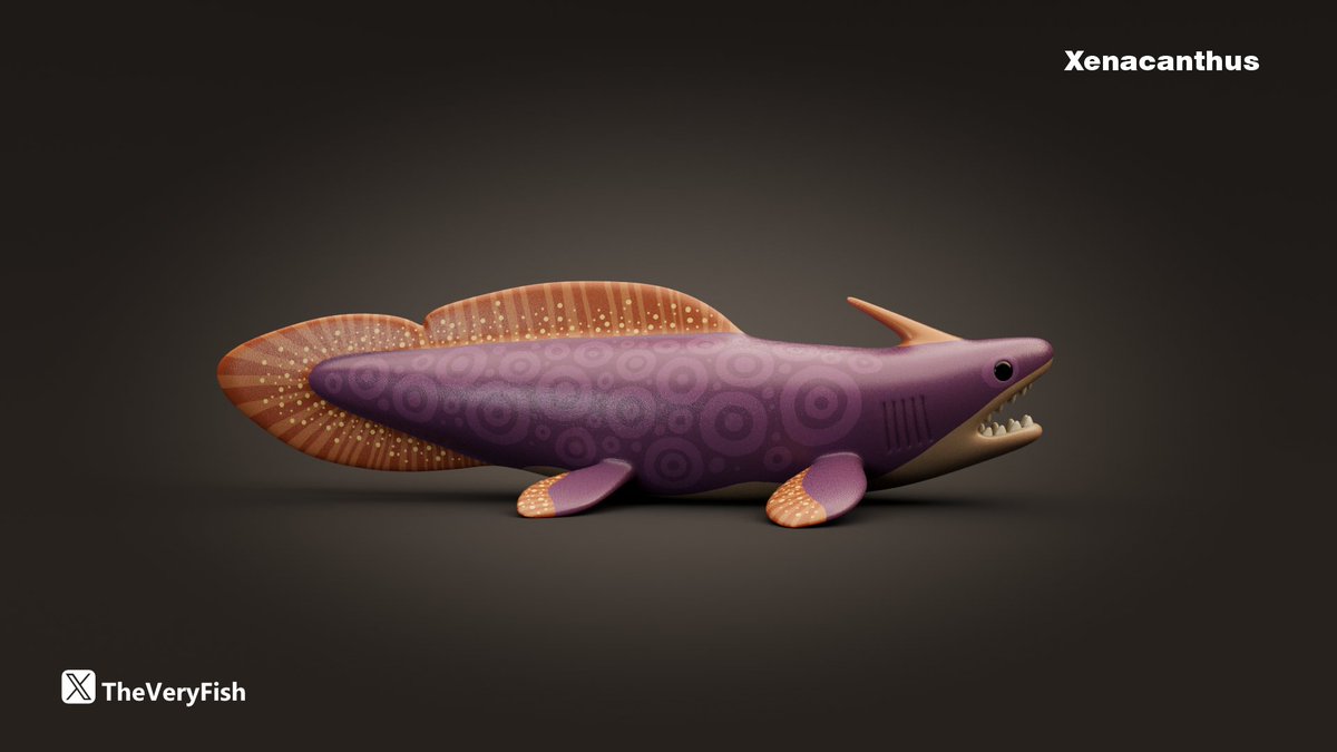 The Very Fish tweet media