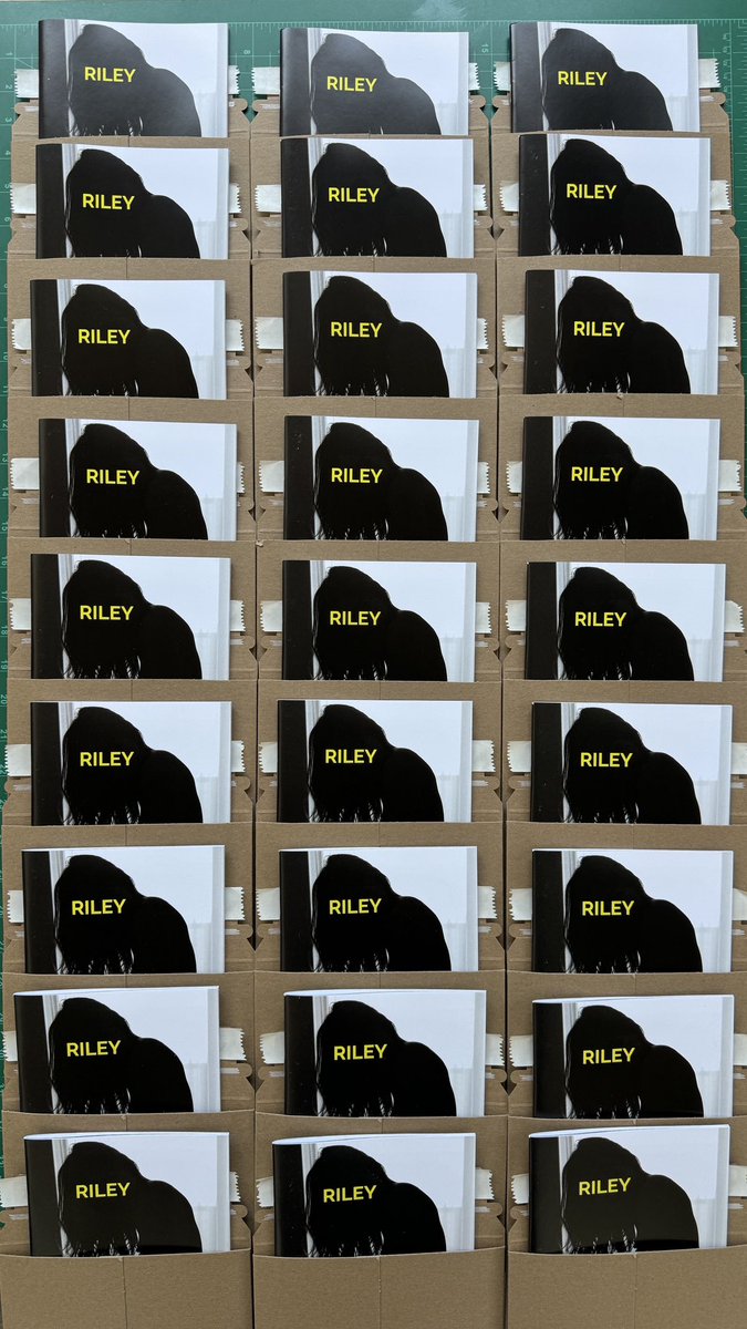 Riley Reid zines are now shipping! Click the link for more info! :: visualskateboards.com