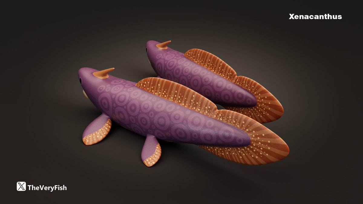 The Very Fish tweet media