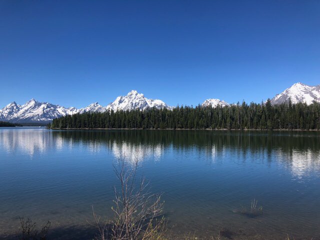 Sicko_Fur's tweet photo. Took a trip out to Yellowstone National Park, I thought I’d share a few of my favorite photos I took! https://t.co/8UbImwi1eM