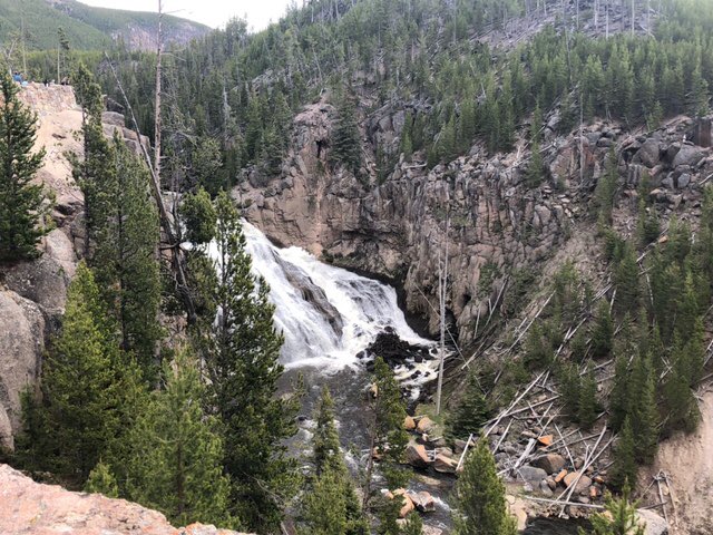 Sicko_Fur's tweet photo. Took a trip out to Yellowstone National Park, I thought I’d share a few of my favorite photos I took! https://t.co/8UbImwi1eM