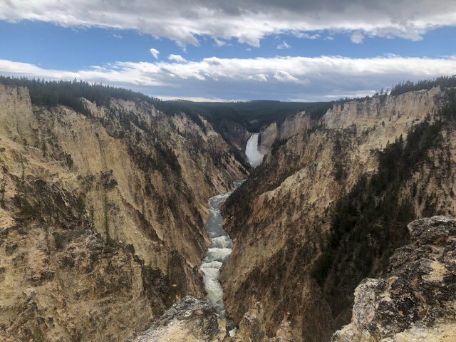 Sicko_Fur's tweet photo. Took a trip out to Yellowstone National Park, I thought I’d share a few of my favorite photos I took! https://t.co/8UbImwi1eM