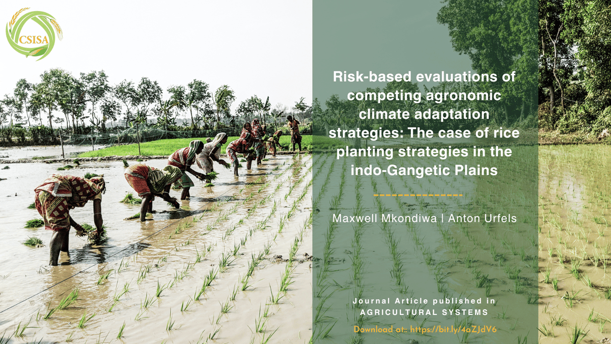 CSISAProject's tweet photo. #Newpaper:In their paper published in Agricultural Systems, #CSISA @CGIAR scientists @MaxwellMkondiwa & @AntonUrfels use spatial models to present optimal climate risk-proof rice planting strategies for a synchronized rice-wheat cropping system.
Read more👉https://t.co/3AHFOe3acr https://t.co/IM6XWDAAy1