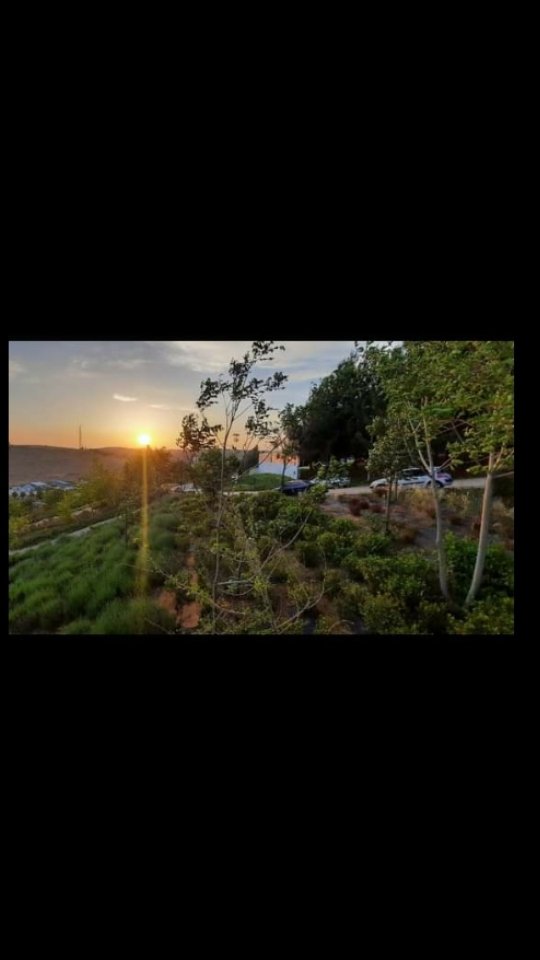 دعوة فجرية
ربنا حصن قلوبنا من هموم الدنيا و أوجاعها و أفتح لنا أبواب الرزق و الفلاح و النجاح و التوفيق من حيث لا نحتسب. اللهم أتمم علينا نعمتك و عافيتك و سترك في الدنيا و الآخرة..اللهم أشفي مرضانا و أرحم موتانا و أغفر لوالدينا و كل من له حق علينا و أحسن خاتمتنا في الأمور كلها.