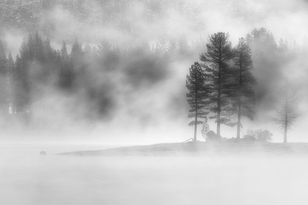 tpeakphotos's tweet image. Moody Dawn - Antelope Lake - Plumas County California

In my Etsy shop:
buff.ly/48JjJuI 

Prints and assorted merchandise on demand:
buff.ly/3GP7PDD 

#mistymorning #mountainair #buyintoart
