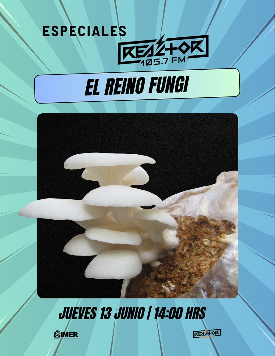 Esta semana en los especiales de Reactor, les hablaremos sobre las  maravillas y curiosidades del reino de los hongos. Atentos a esta entrega  que realizaron @padarevolver, @lucilazetina e @IsmaelFiloso este 12 de